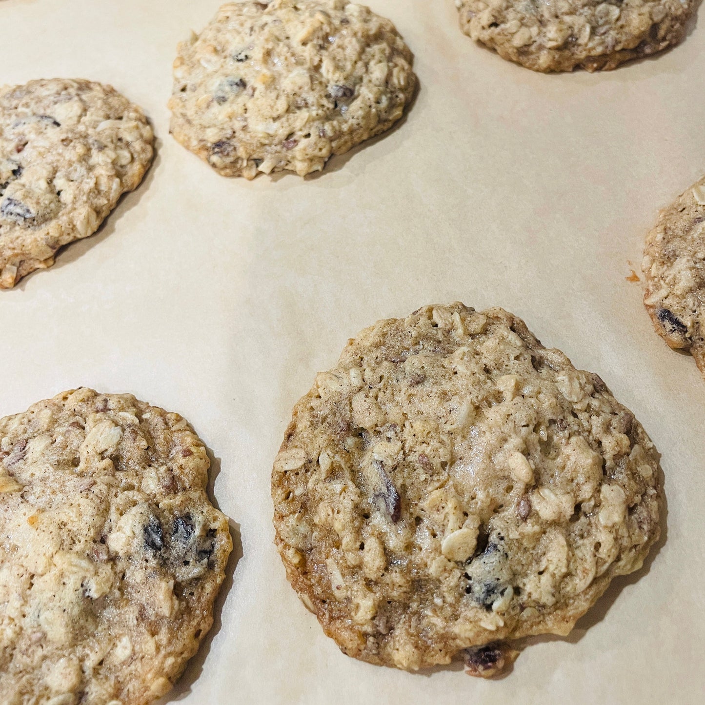 Oatmeal Raisin Lactation Cookies